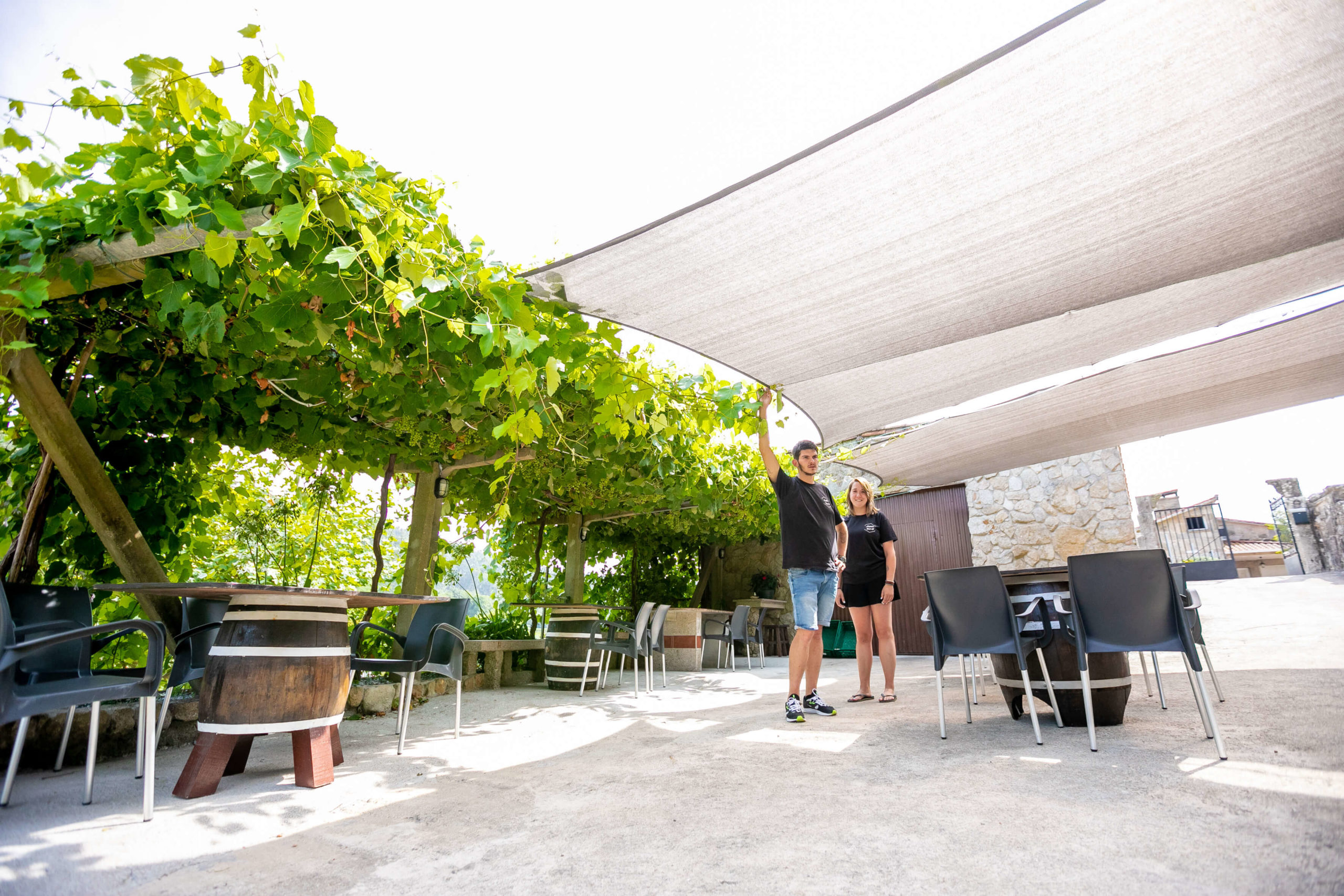 Lagüiña Lieux-dit, cocina cotidiana y un mundo de vinos