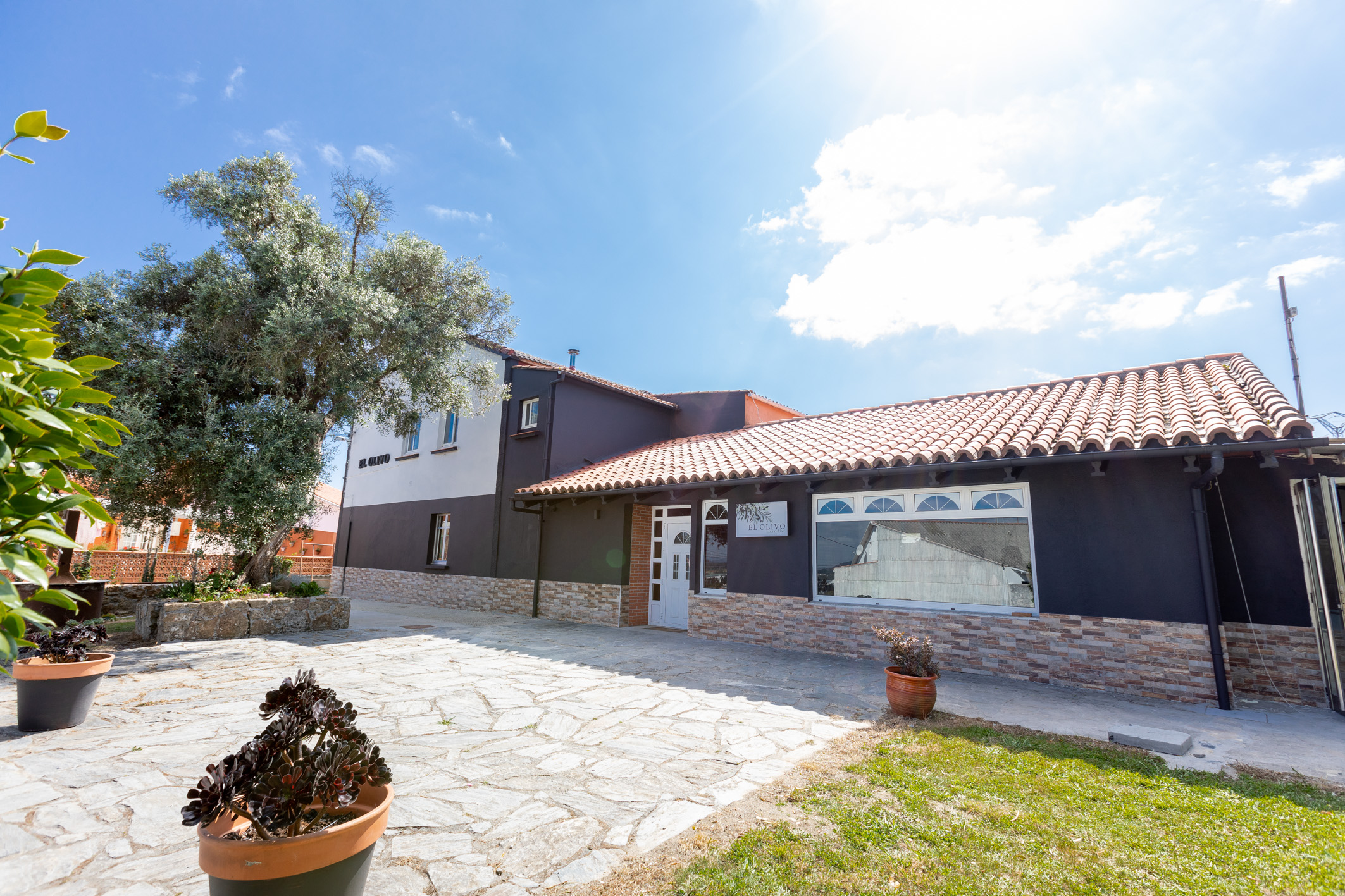 El Olivo Cocina & Bar, temporalidad y cercanía por bandera