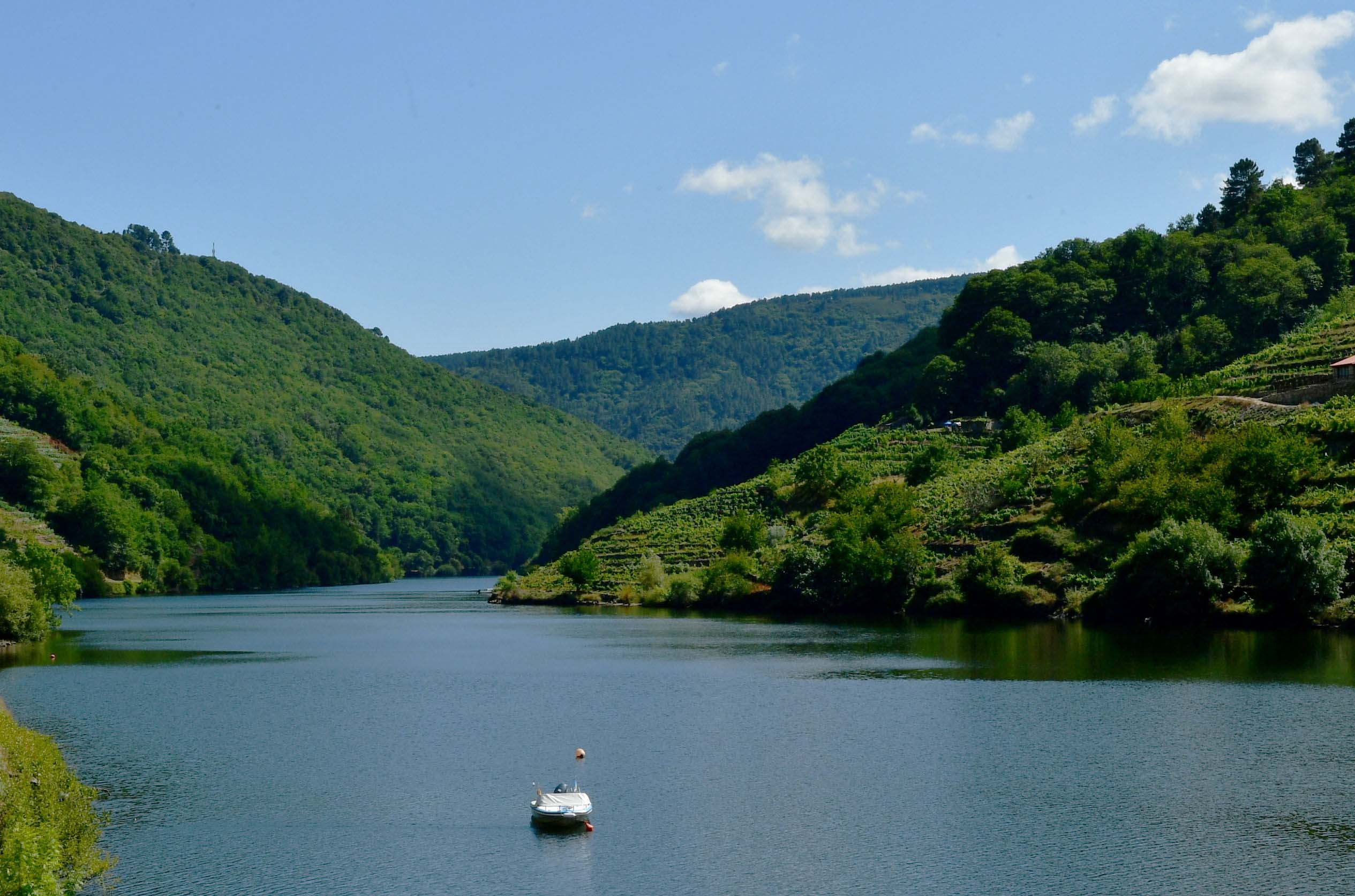 La Ruta do Viño da Ribeira Sacra celebra un fam trip este fin de semana