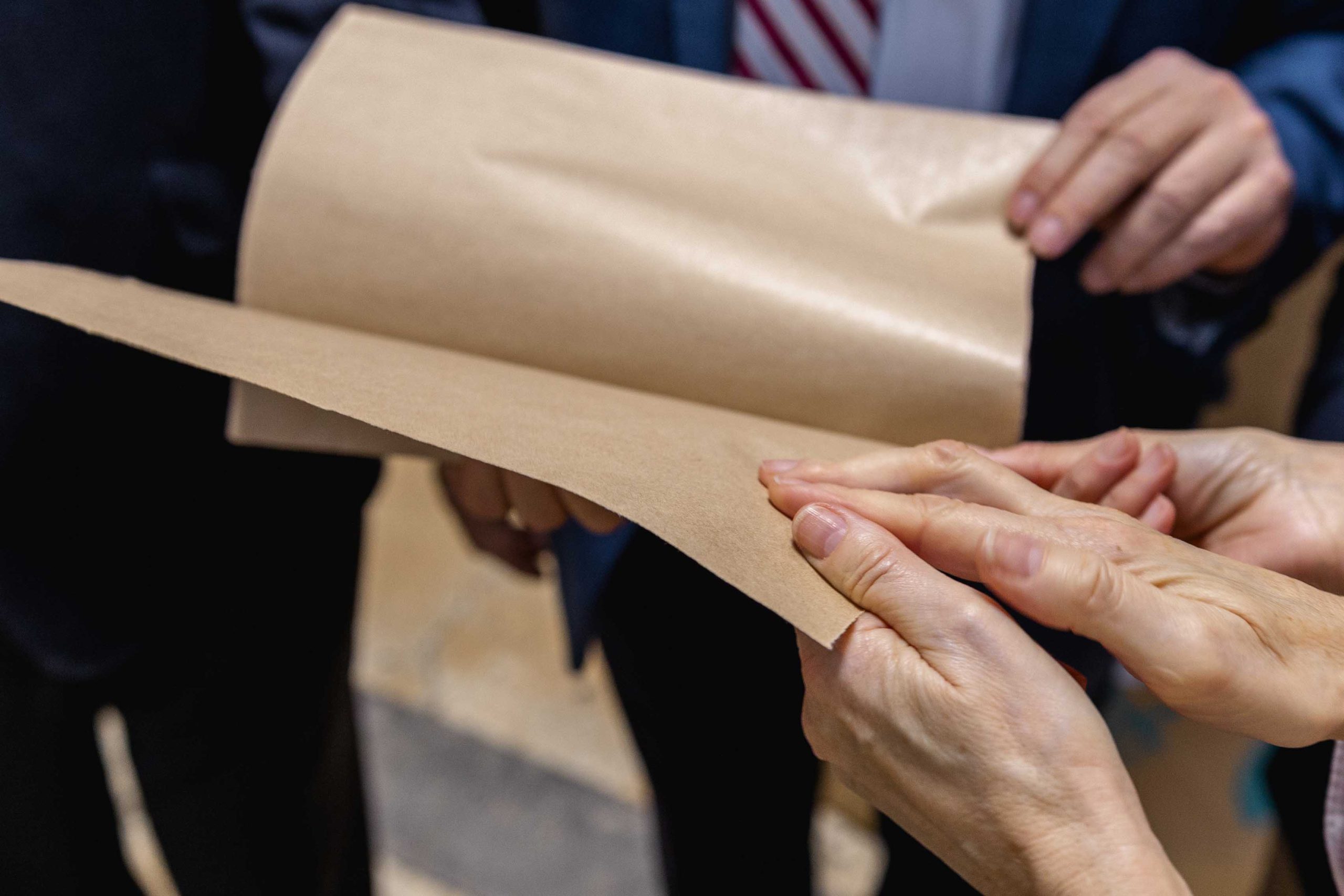 Logran fabricar papel a partir de los residuos de la vid