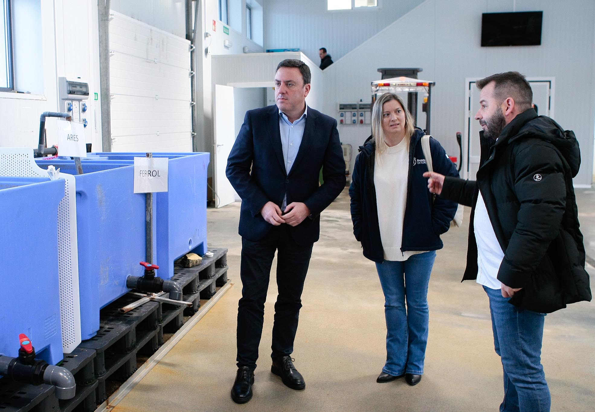 La Deputación da Coruña promocionará la vieira y la zamburiña de la ría de Ferrol