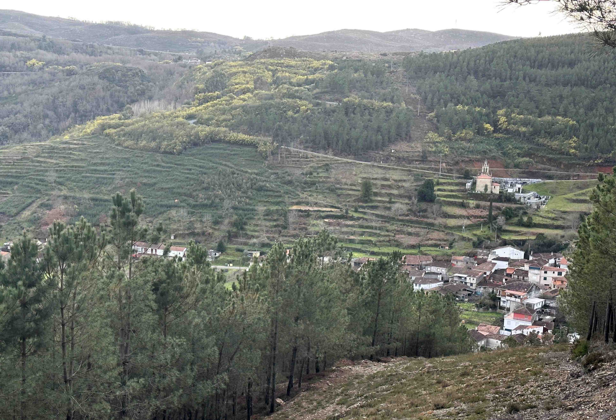 Martín Códax sumará ocho hectáreas de viñedo en una aldea modelo de Monterrei