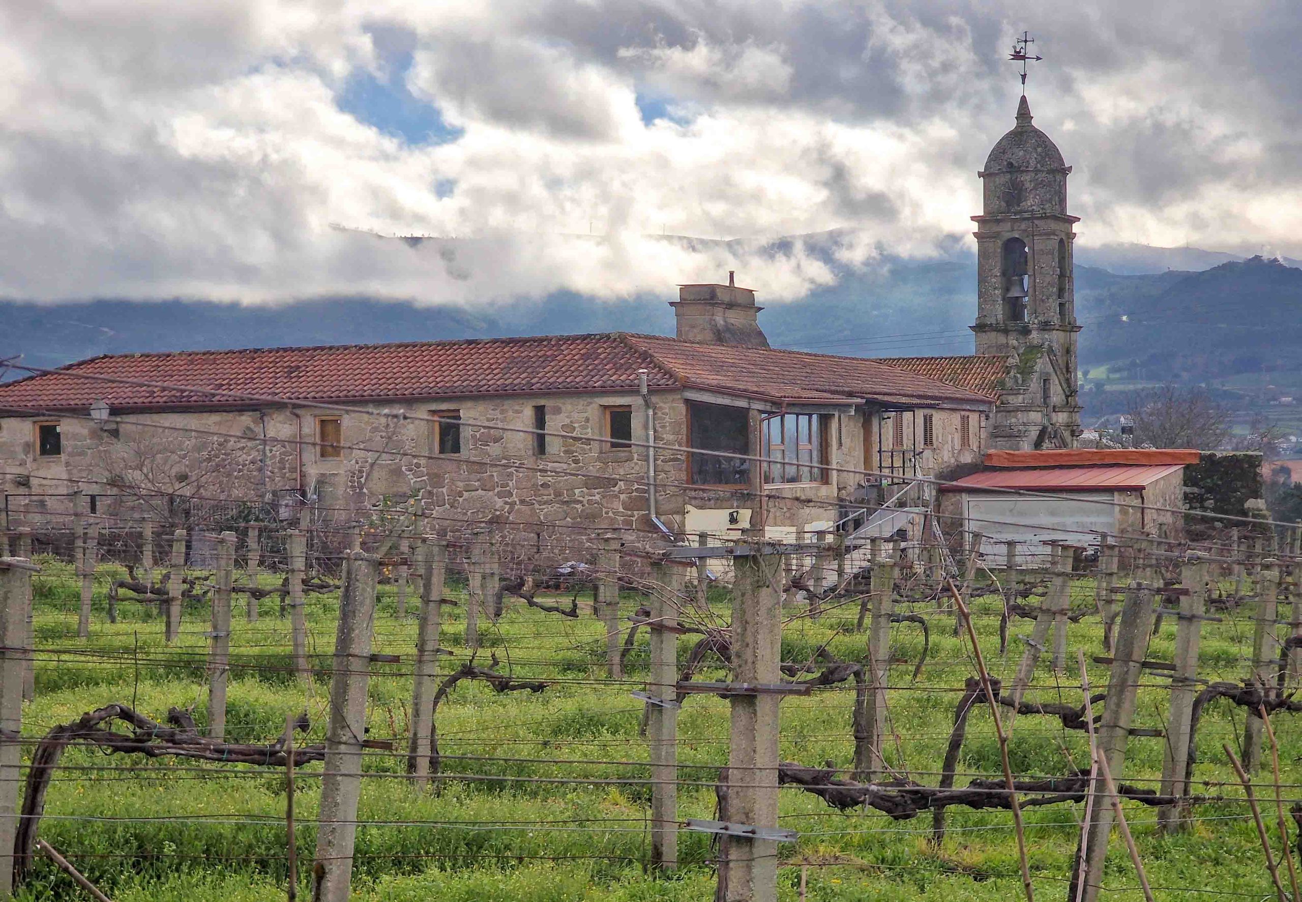 Alma Carraovejas confirma su llegada a Rías Baixas con Tricó