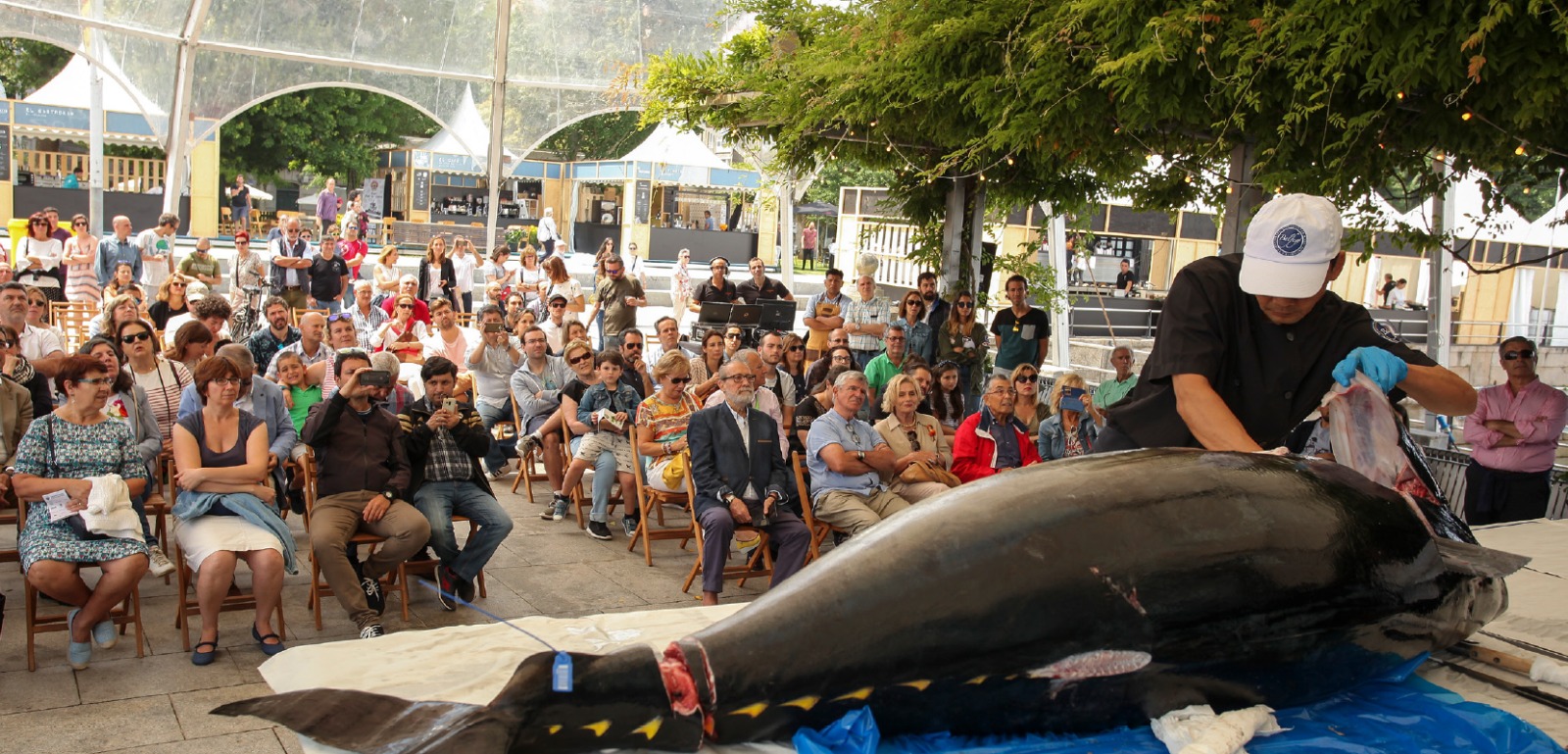 Vigo se convierte en el foco de la gastronomía del mar, la música y el ocio como deporte