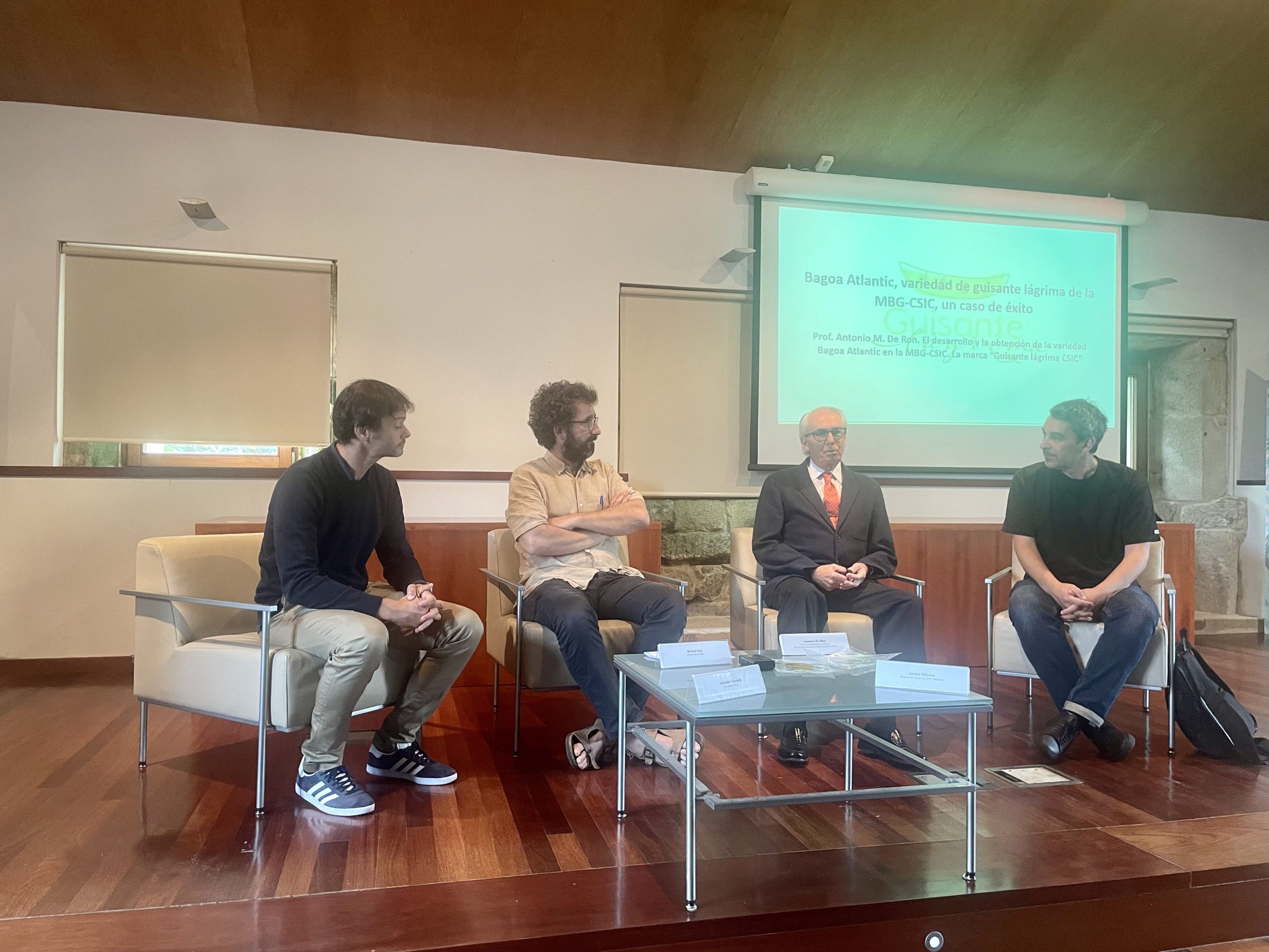 Luz verde a la comercialización de ‘Bagoa Atlantic’, la nueva variedad de guisante lágrima desarrollada por el CSIC