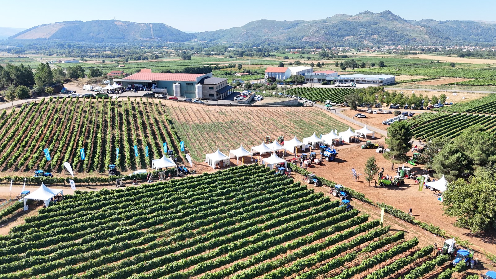 Demoviña reúne a más de 700 agricultores en Verín