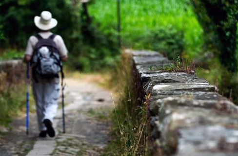El Camino de Santiago renueva su condición de Primer Itinerario Cultural Europeo