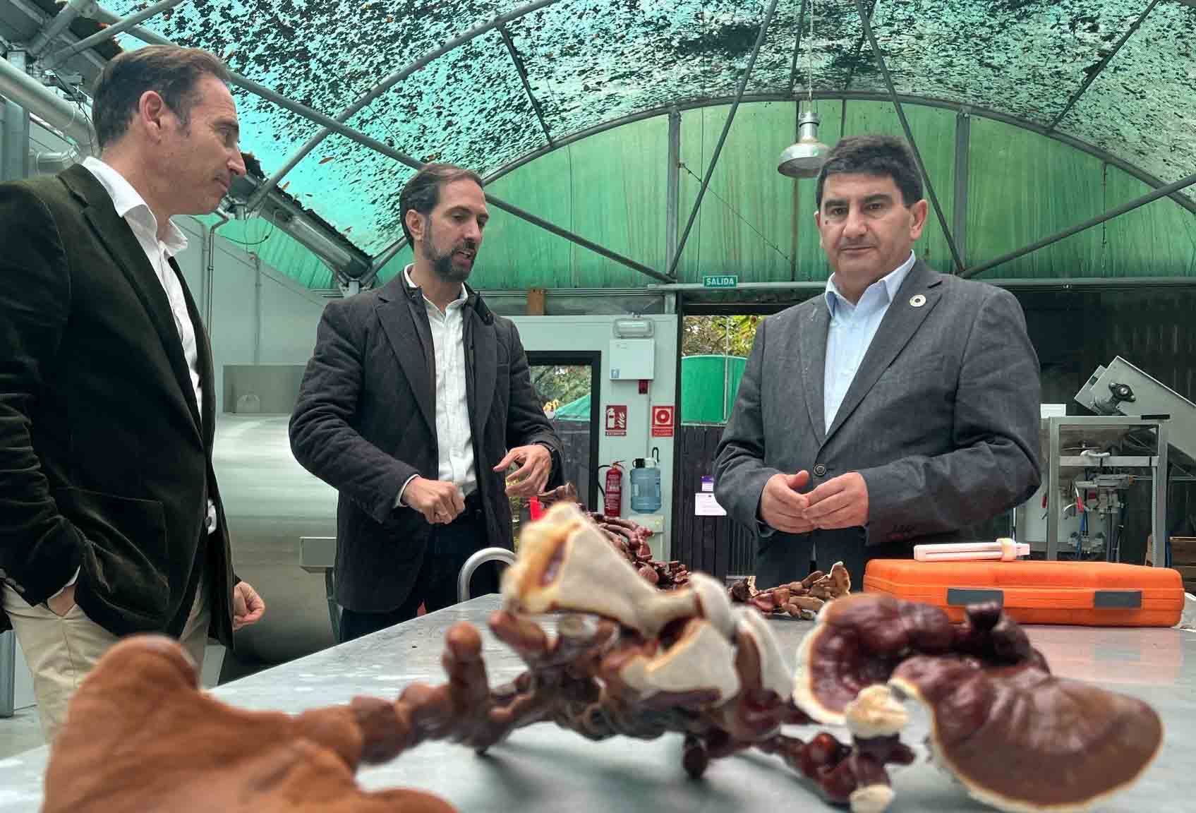 Pedro Blanco invita a las empresas gallegas a optar a las ayudas del segundo PERTE Agro