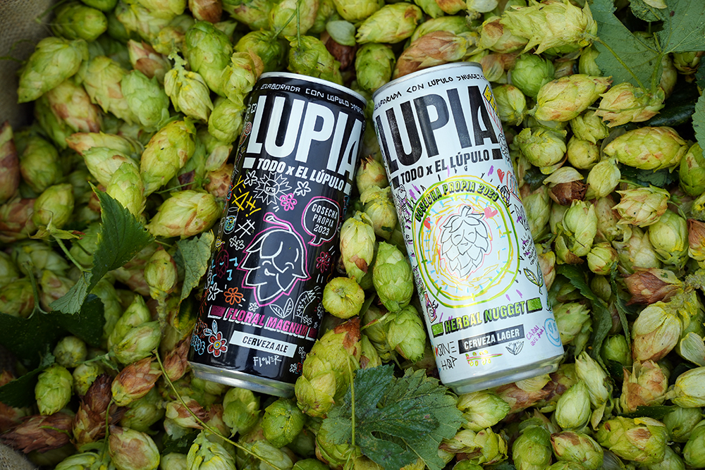Lupia, la nueva marca de origen que apuesta por el cultivo del lúpulo gallego