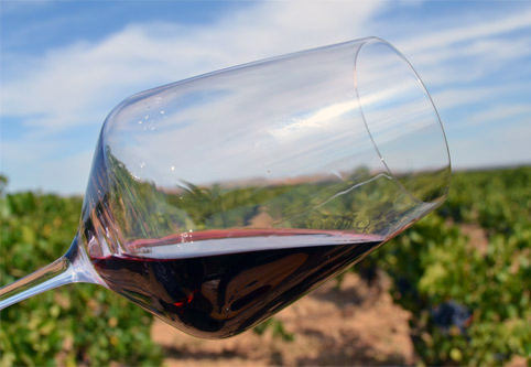 La Unión Europea registra la nueva Denominación de Origen Protegida de vino de pago “Urbezo”
