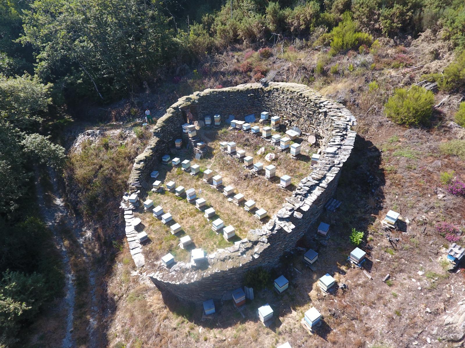 alvariza