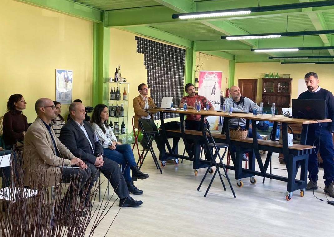 En marcha un proyecto de innovación para fomentar la multiplicación de olivo autóctono
