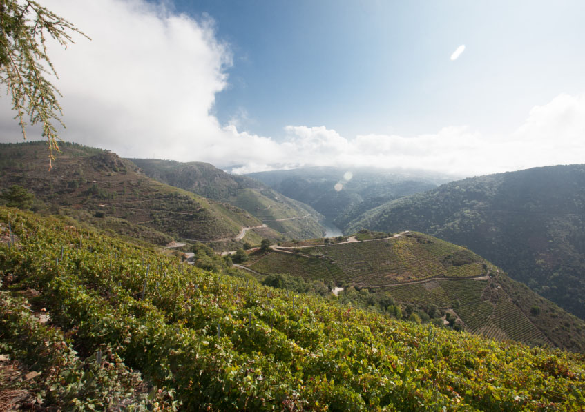 Dos millones de euros para la Ribeira Sacra