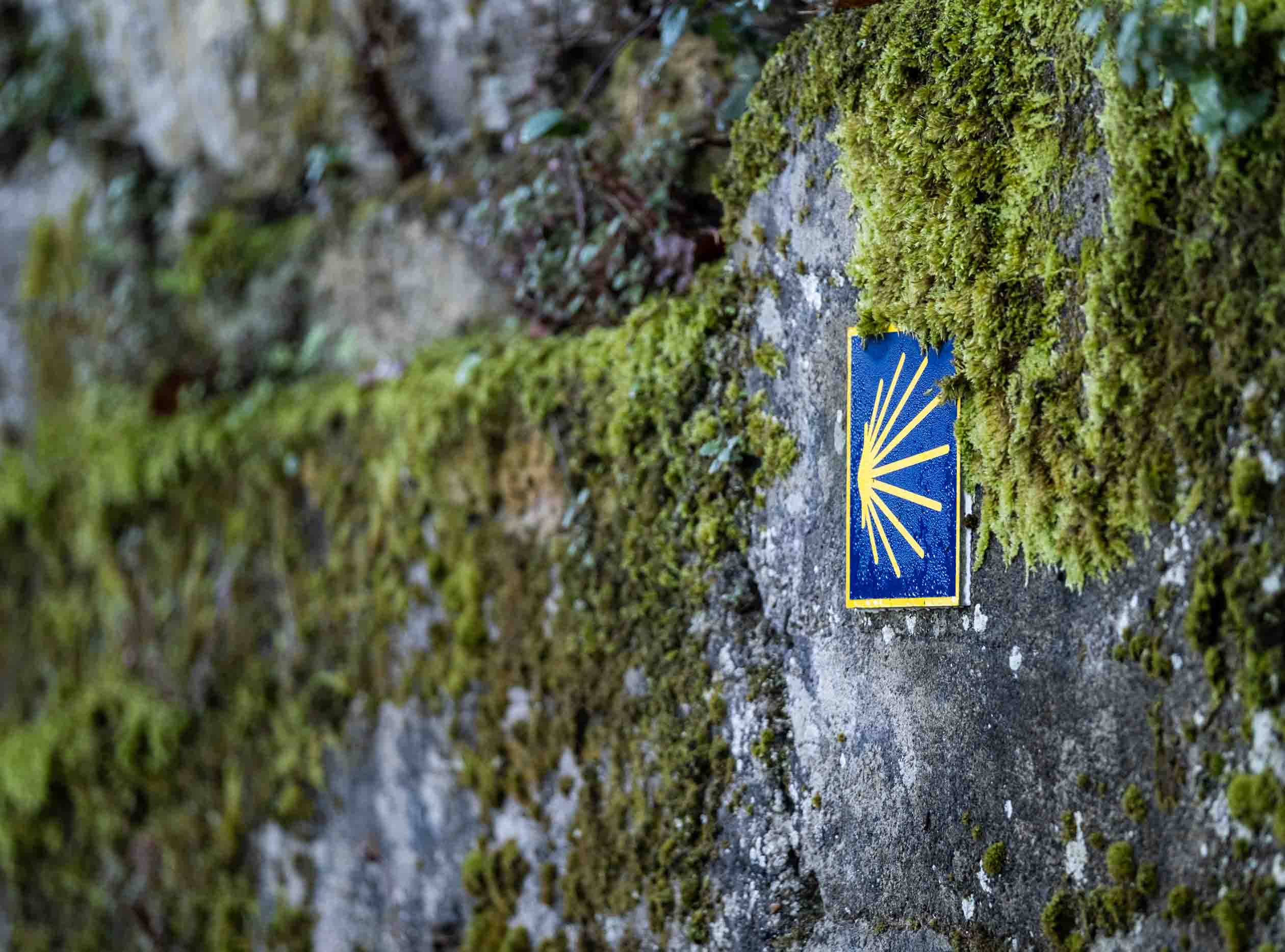 OPC-Galicia organiza un presstrip nacional por el Camino Inglés