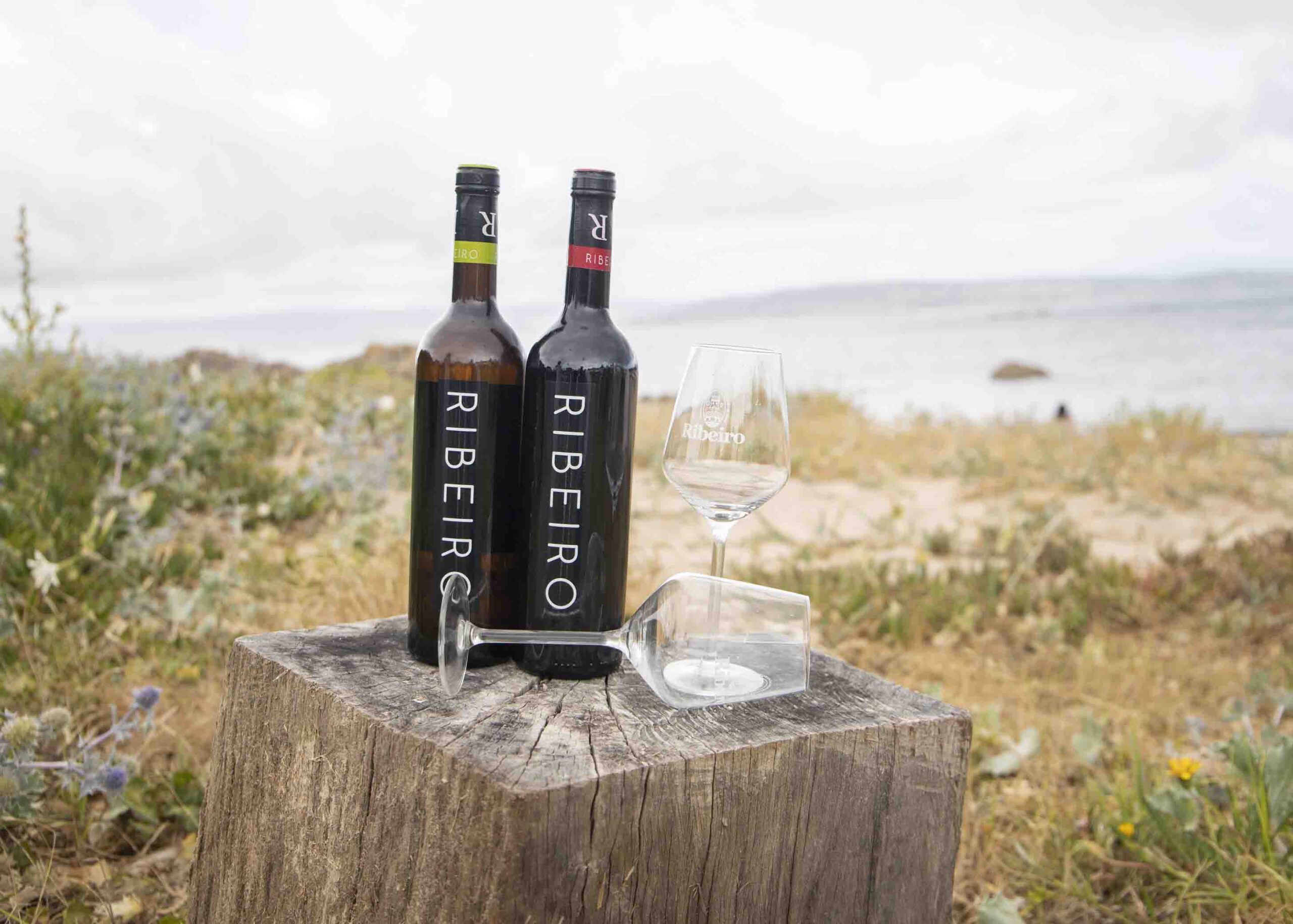 Veintiséis galardones para la DO Ribeiro en los Decanter World Wine Awards