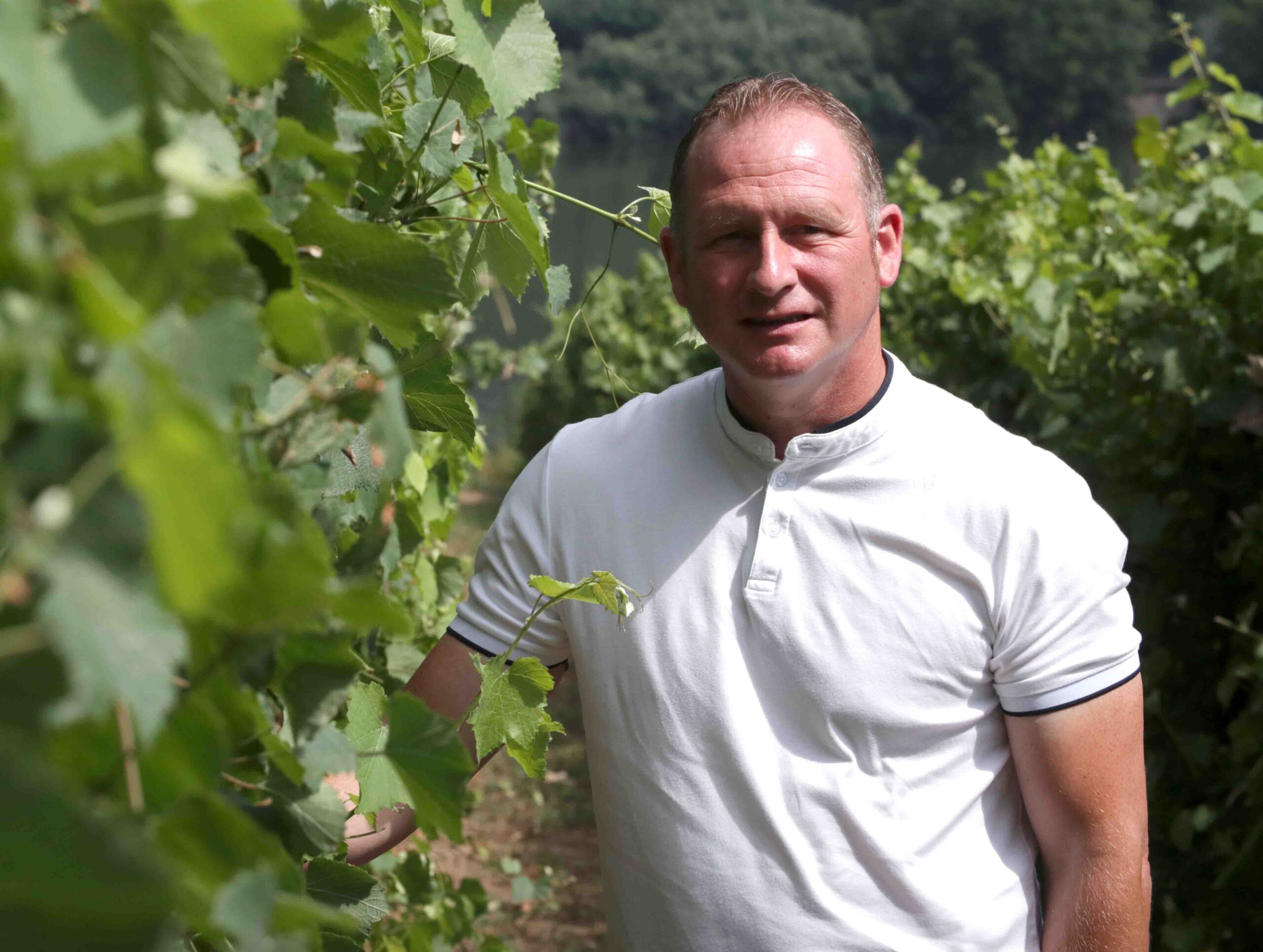 Pablo Estévez vuelve a coronarse como mejor enólogo de vinos jóvenes de España