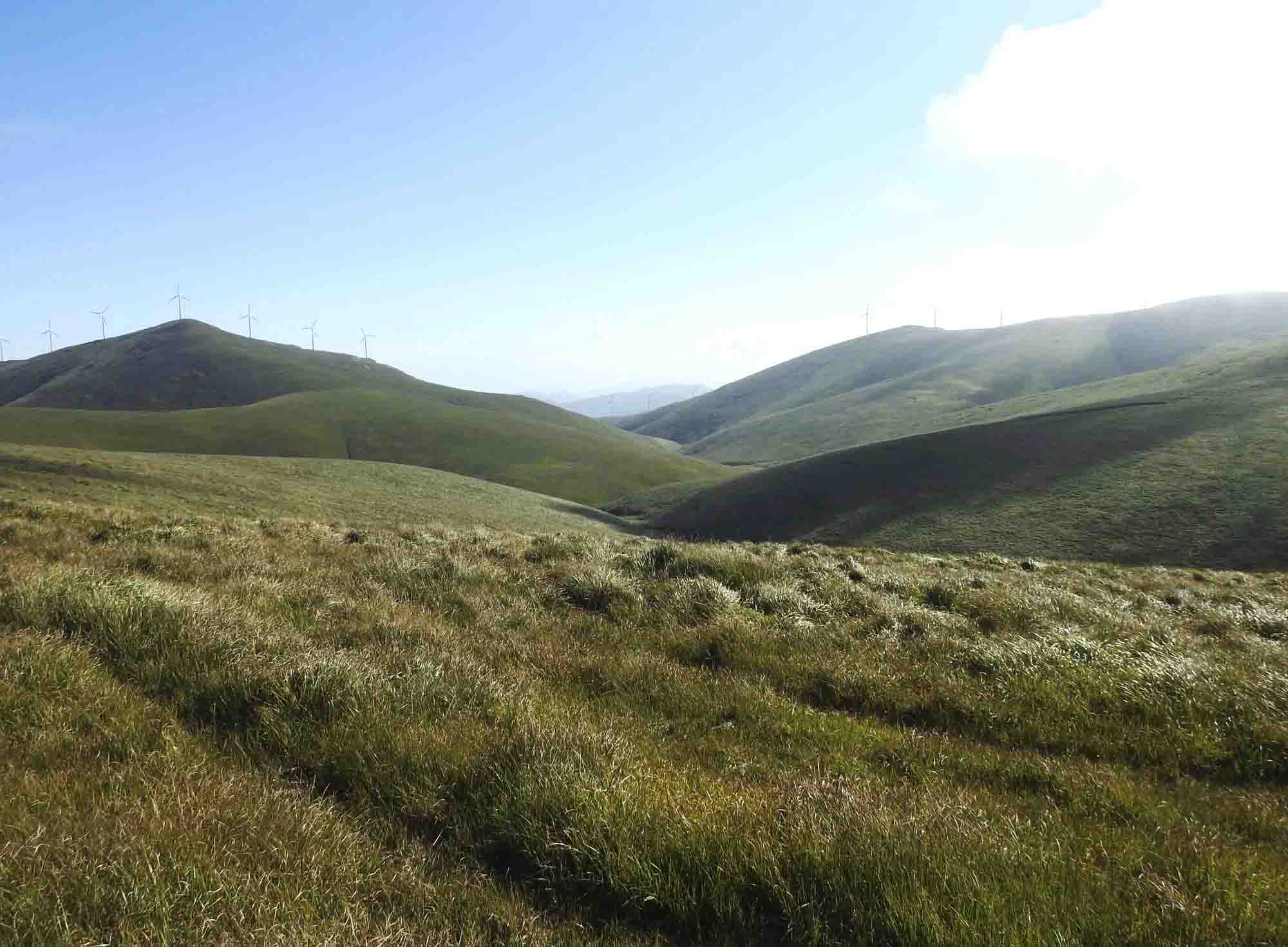 La marca ‘Saberes do Monte’ organiza un fin de semana para saborear y conservar el territorio