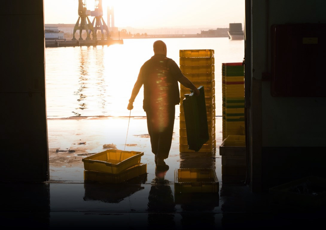 El GALP Golfo Ártabro Sur, líder transformador del sector de la pesca