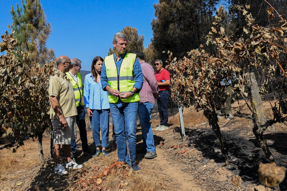 Rueda asegura que las ayudas a los viticultores afectados por el fuego se abonarán “lo antes posible”