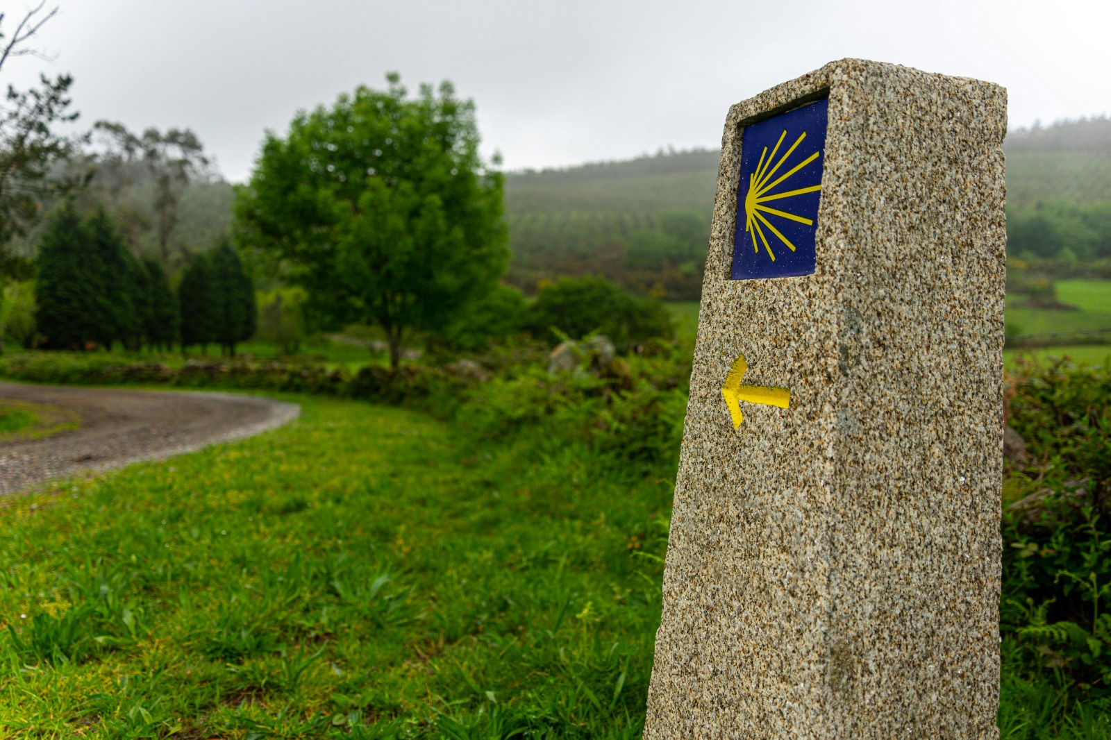 La Deputación da Coruña viaja a Escocia para incentivar la proyección internacional del Camino 