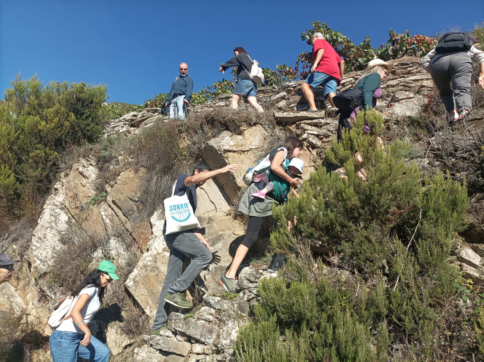 Ribeira Sacra bate récords de turistas en agosto 