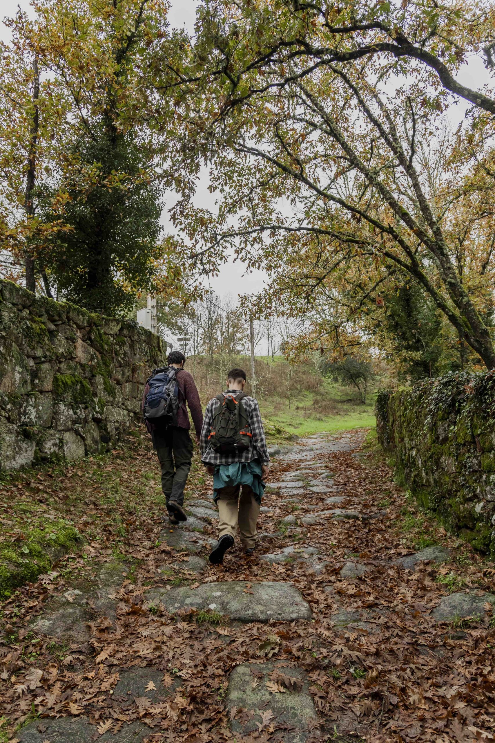 Vuelve la Vía de la Plata por etapas para descubrir los tesoros del Camino Mozárabe