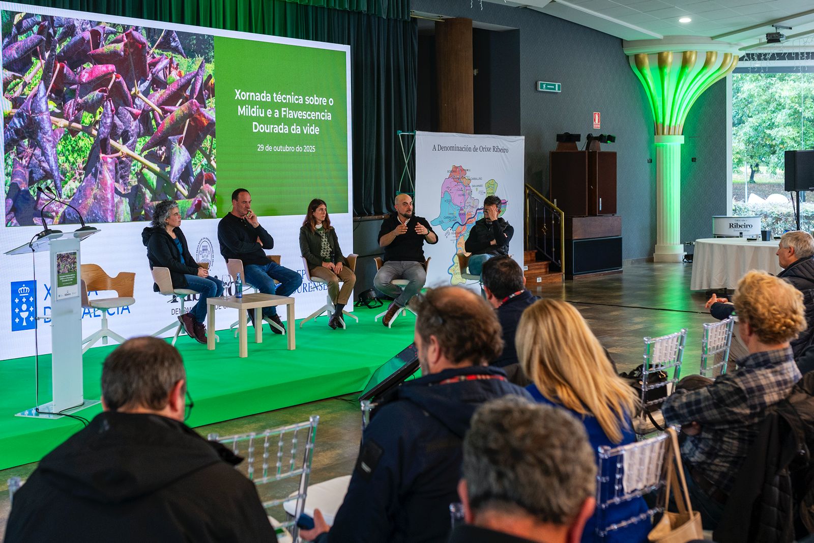Jornada técnica-informativa sobre la flavescencia dorada de la vid y el mildiu en el Ribeiro