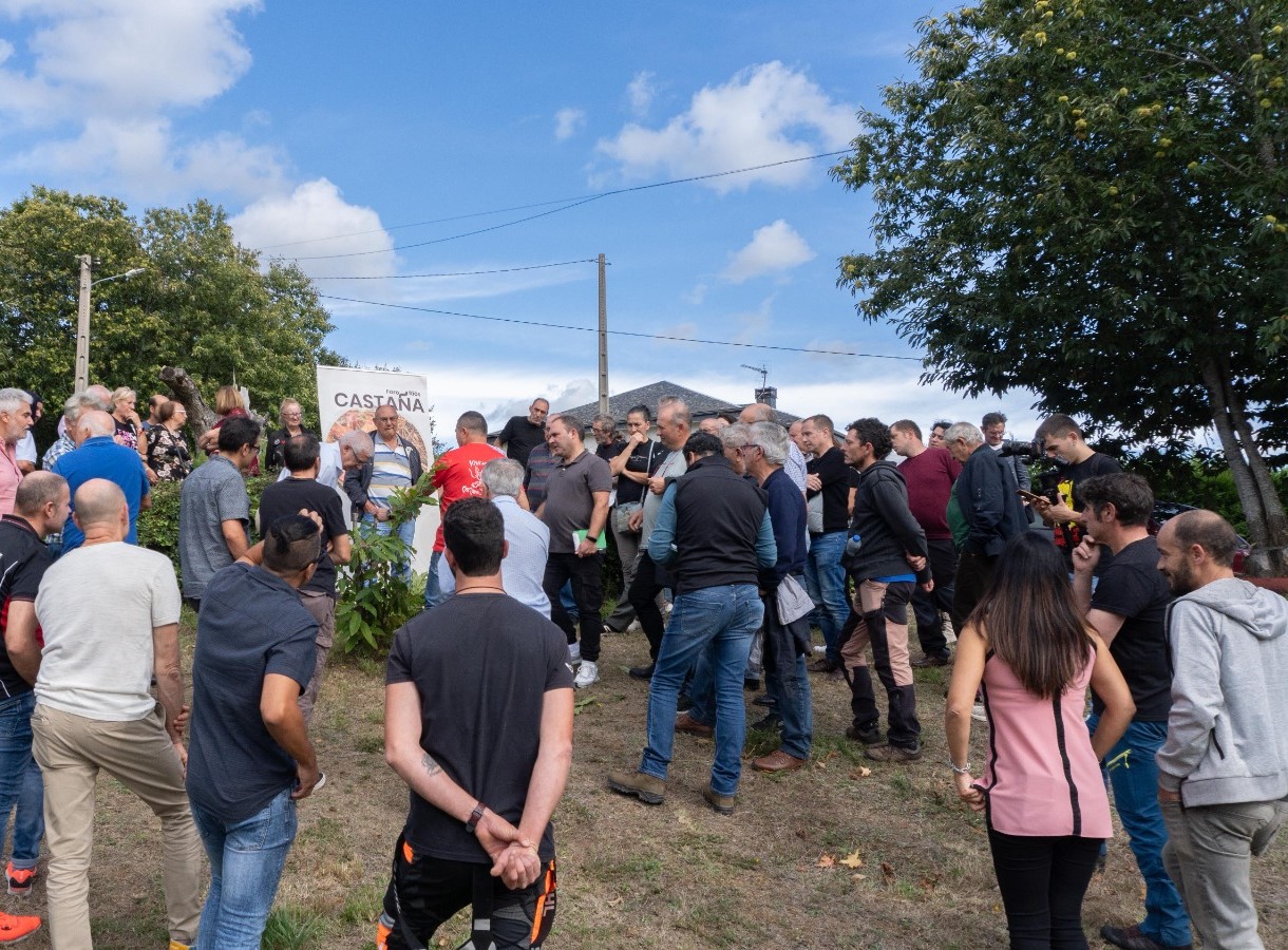 El Inorde organiza el IV Foro da Castaña que abordará la recuperación del suelo tras los incendios 