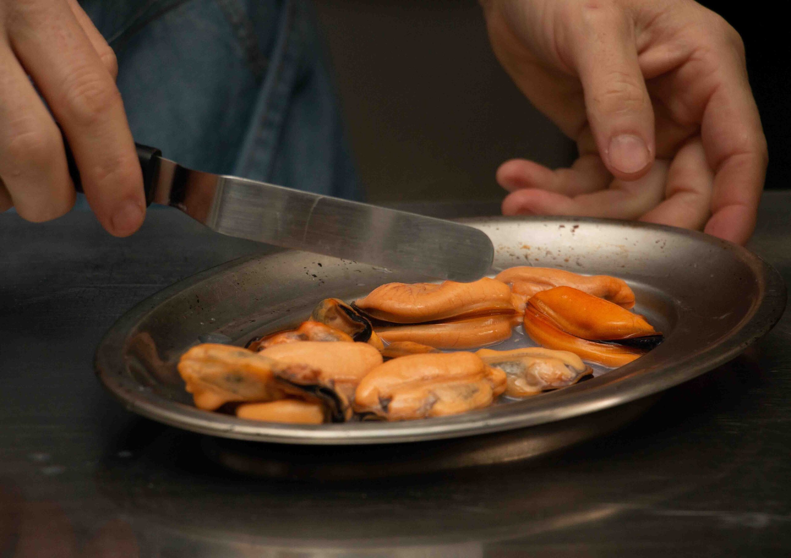 Se busca la mejor receta con mejillón gallego