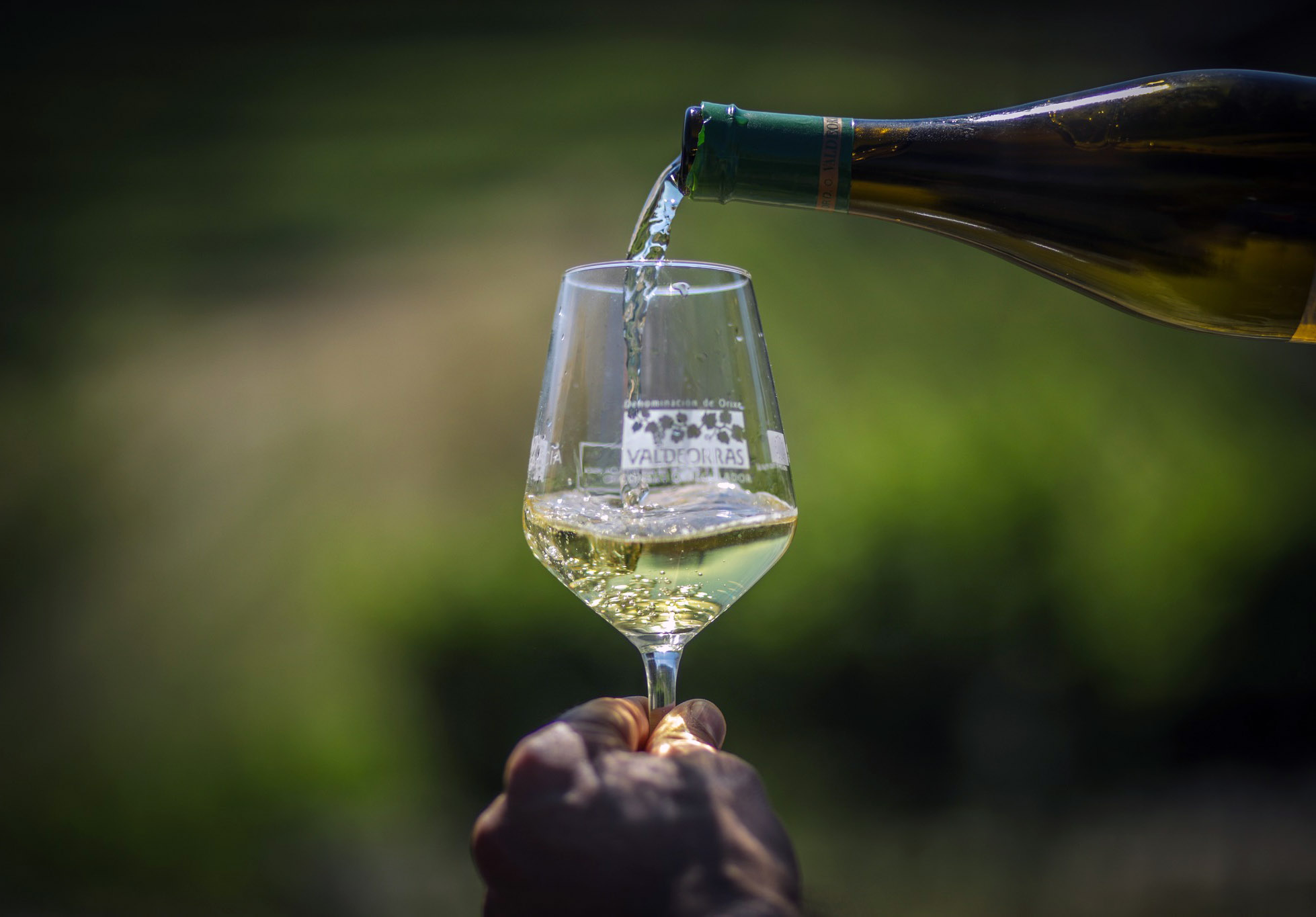 Valdeorras, la DO gallega más premiada en el Concurso Internacional de Vinos VinDuero-VinDouro