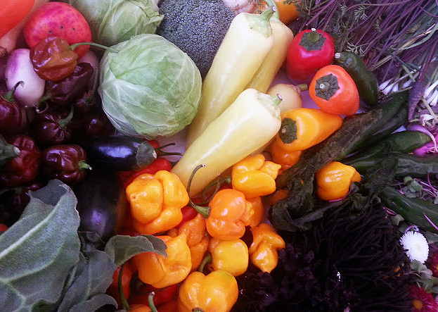 Las verduras de temporada, protagonistas en MUTA