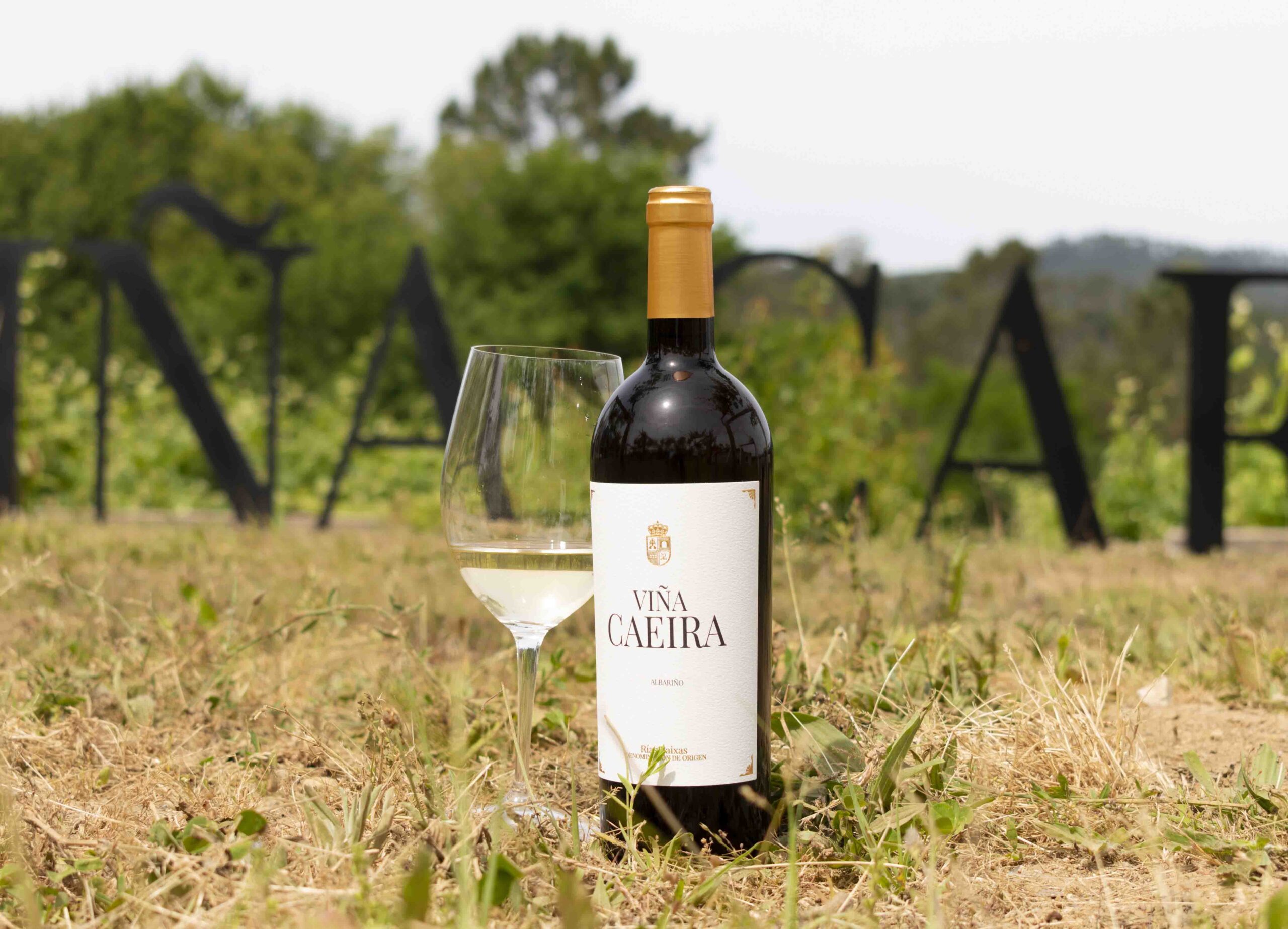 Bodegas Familiares Matarromera lanza una nueva añada de Viña Caeira