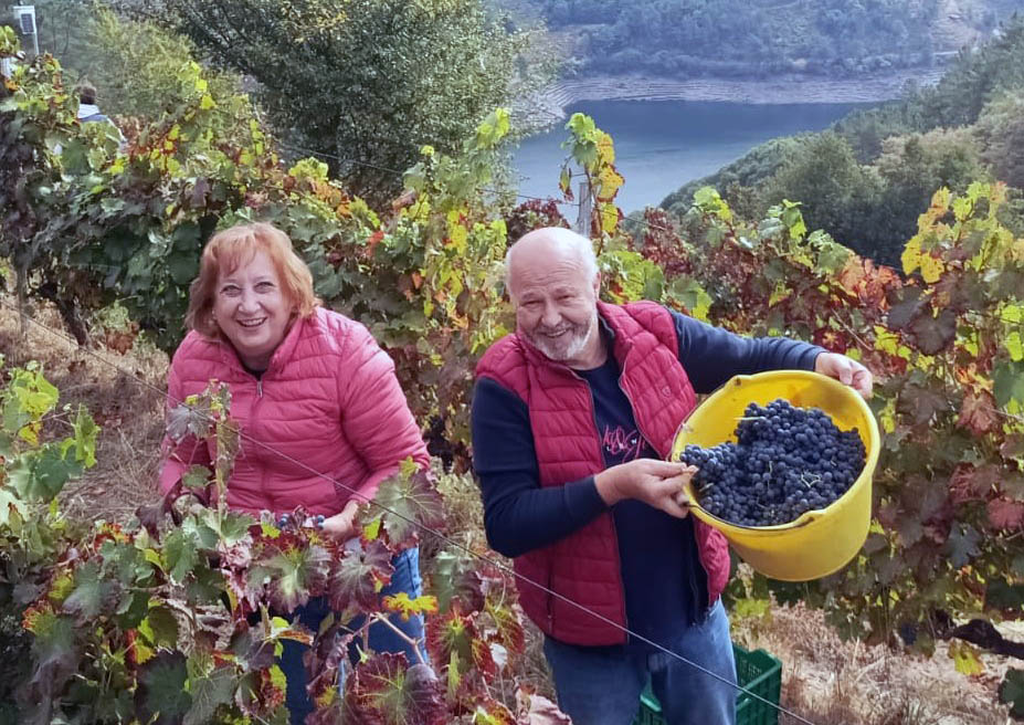 Ribeira Sacra abre reservas para el programa de experiencias de otoño “A Caída da Folla 2025”