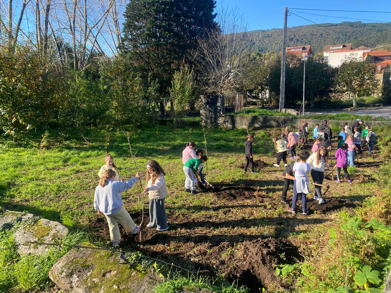 La Asociación de Concellos do Camiño da Ría Muros Noia presenta un proyecto para plantar manzanos en esta ruta jacobea