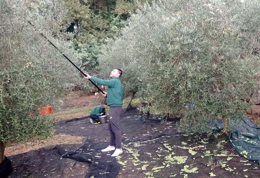 Abril pondrá en el mercado 12.000 botellas de su ‘Colleita Propia’