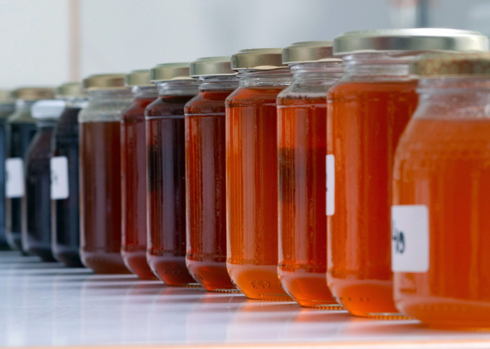 Galicia busca sus ‘Meles Cinco Estrelas’