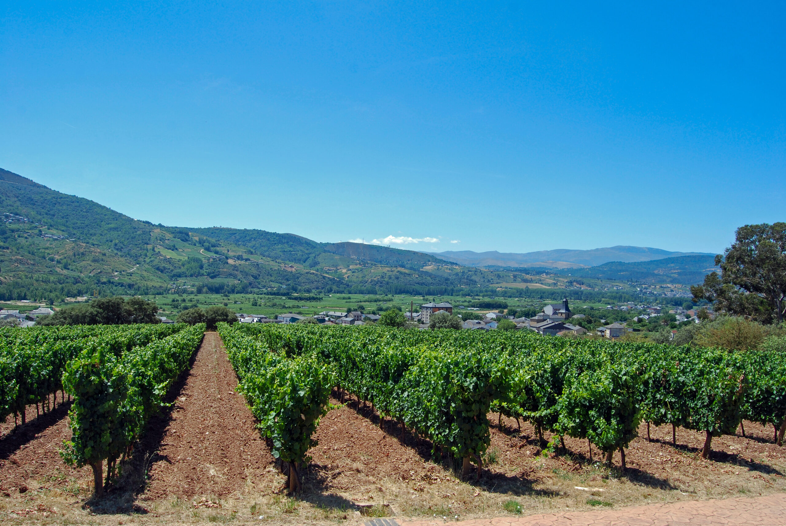 Luz verde a las ayudas a la movilidad sostenible en los establecimientos y bodegas de los territorios de las cinco Rutas del Vino de Galicia