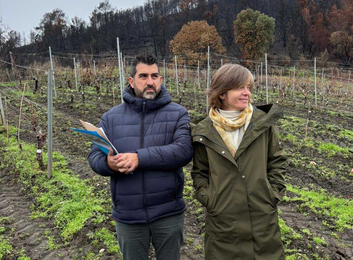 El Consejo Regulador de la DO Valdeorras, primero en firmar un convenio con el sello europeo Fire Wine