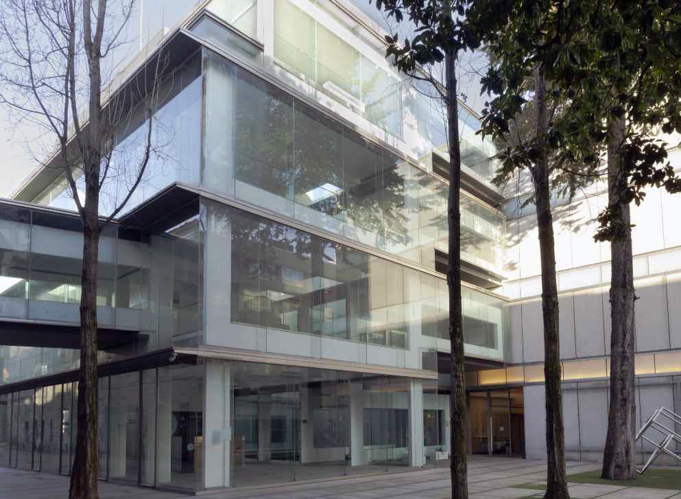 El Museo de Pontevedra supera los 200.000 visitantes en 2025