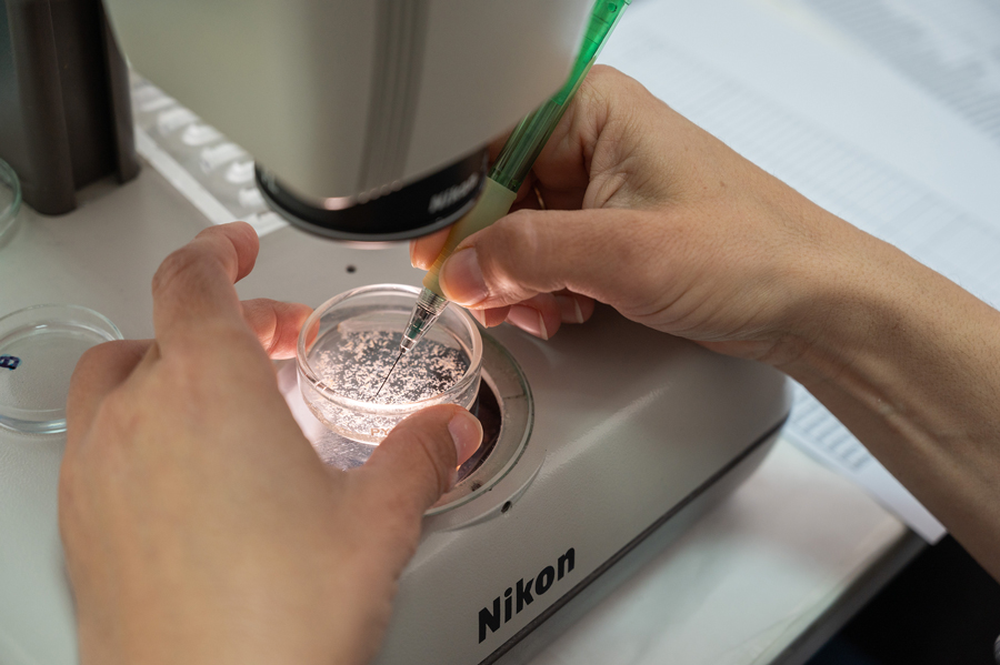 El CSIC lidera desde Galicia 13 proyectos de Generación de Conocimiento 