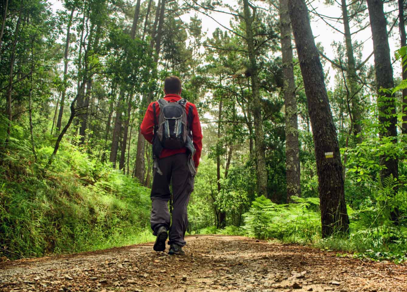 Galicia tendrá este año 72 senderos azules 