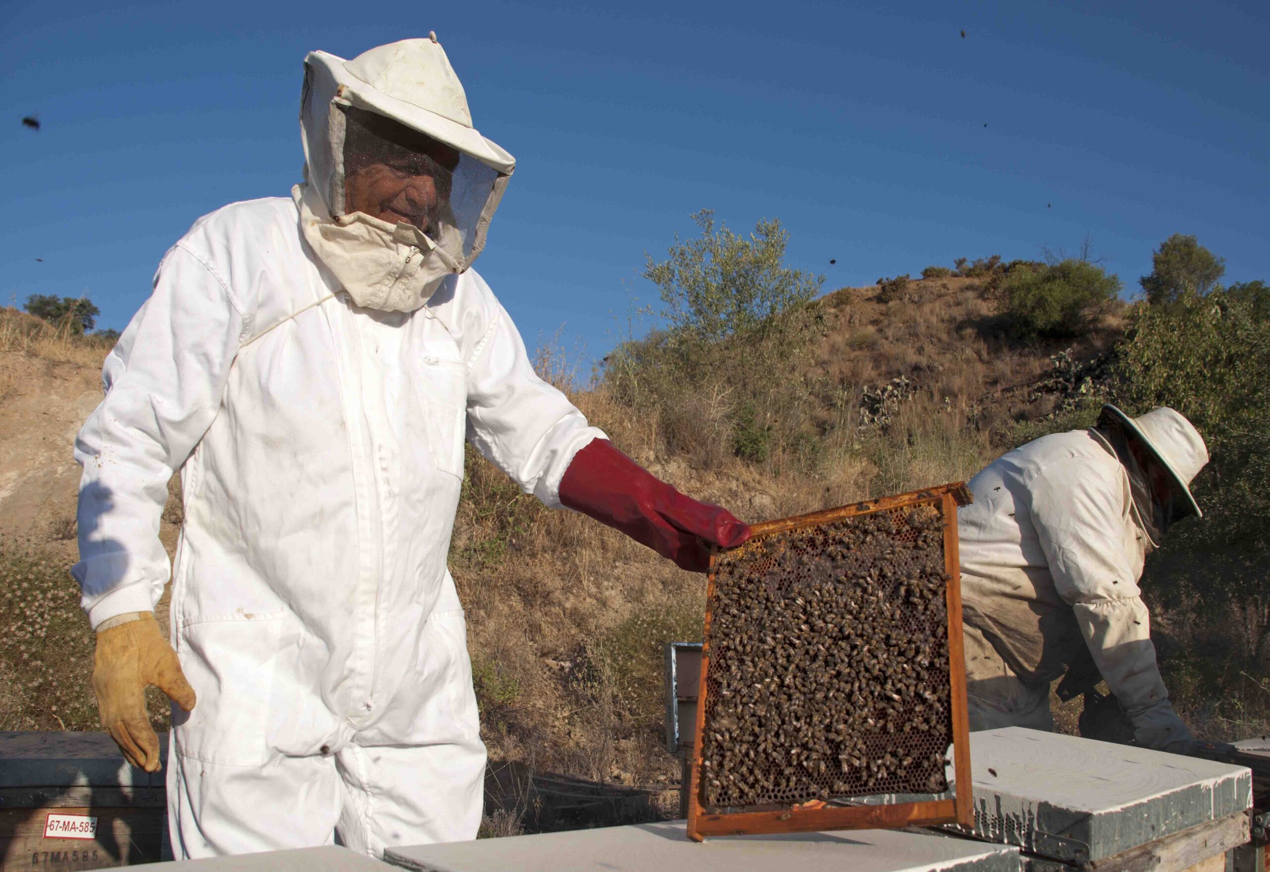 Promueven sendas concentraciones para alertar sobre el “fraude de la miel”