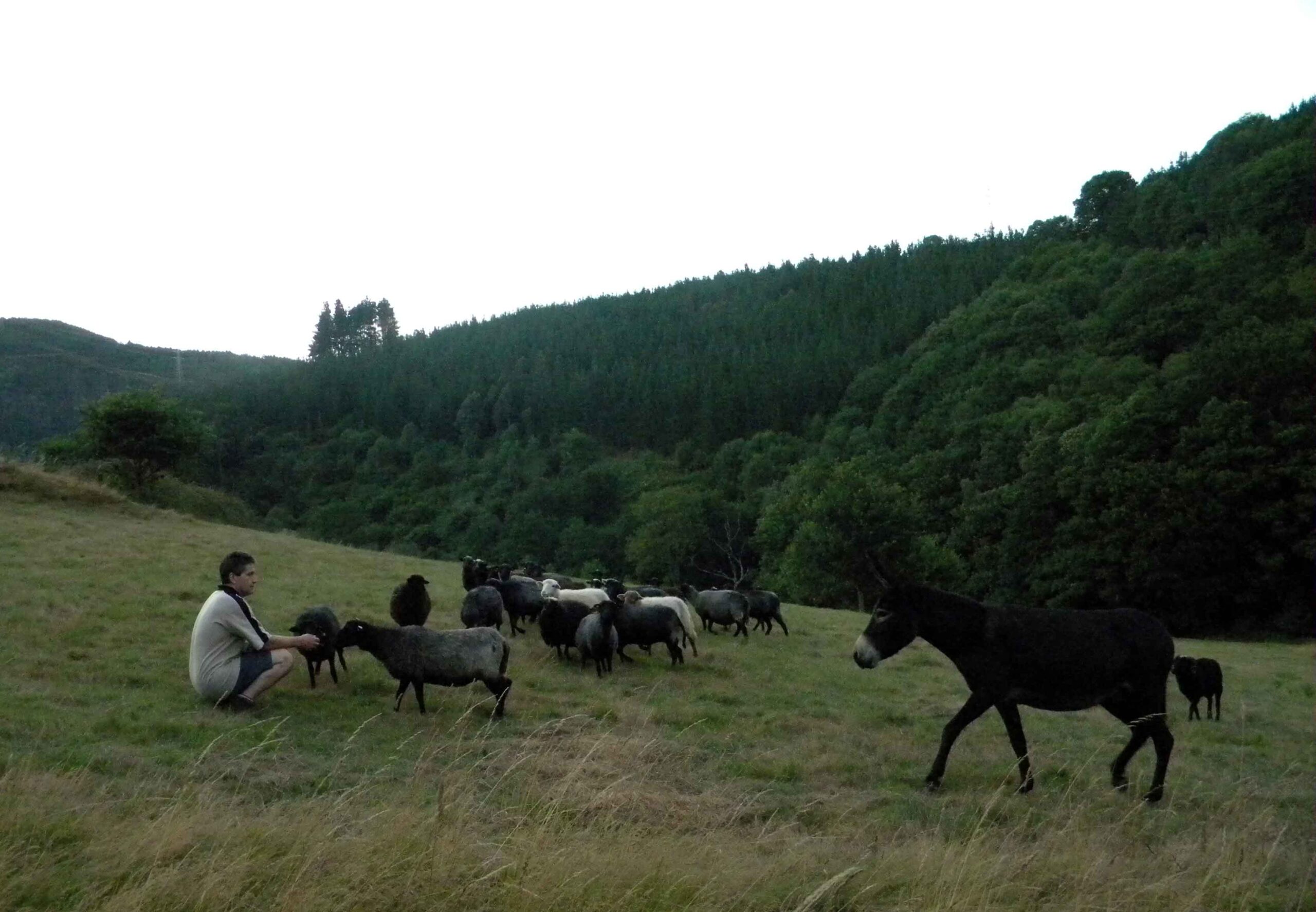 Comienza la actividad de la Escuela de Pastores, con todas sus plazas cubiertas
