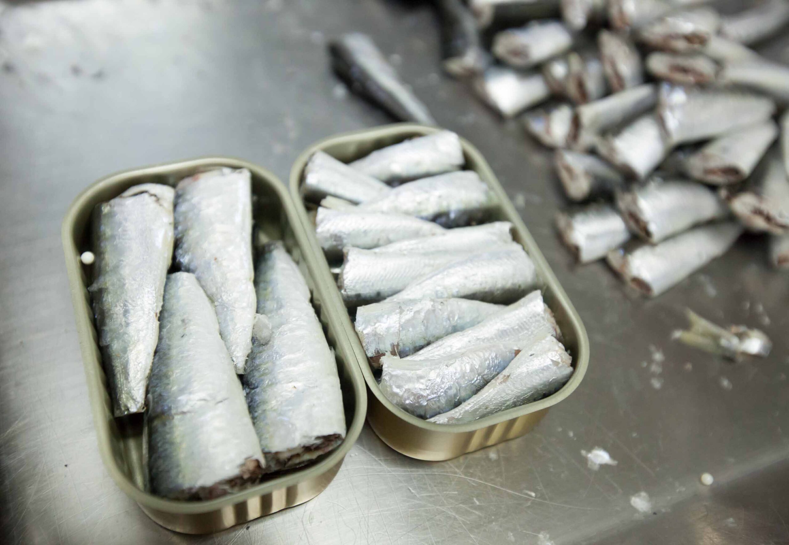 Decepción en la cadena mar-industria ante el reparto de sardina ibérica