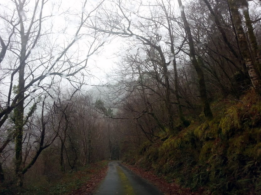 El control de acceso a las Fragas do Eume, a través de contenedores