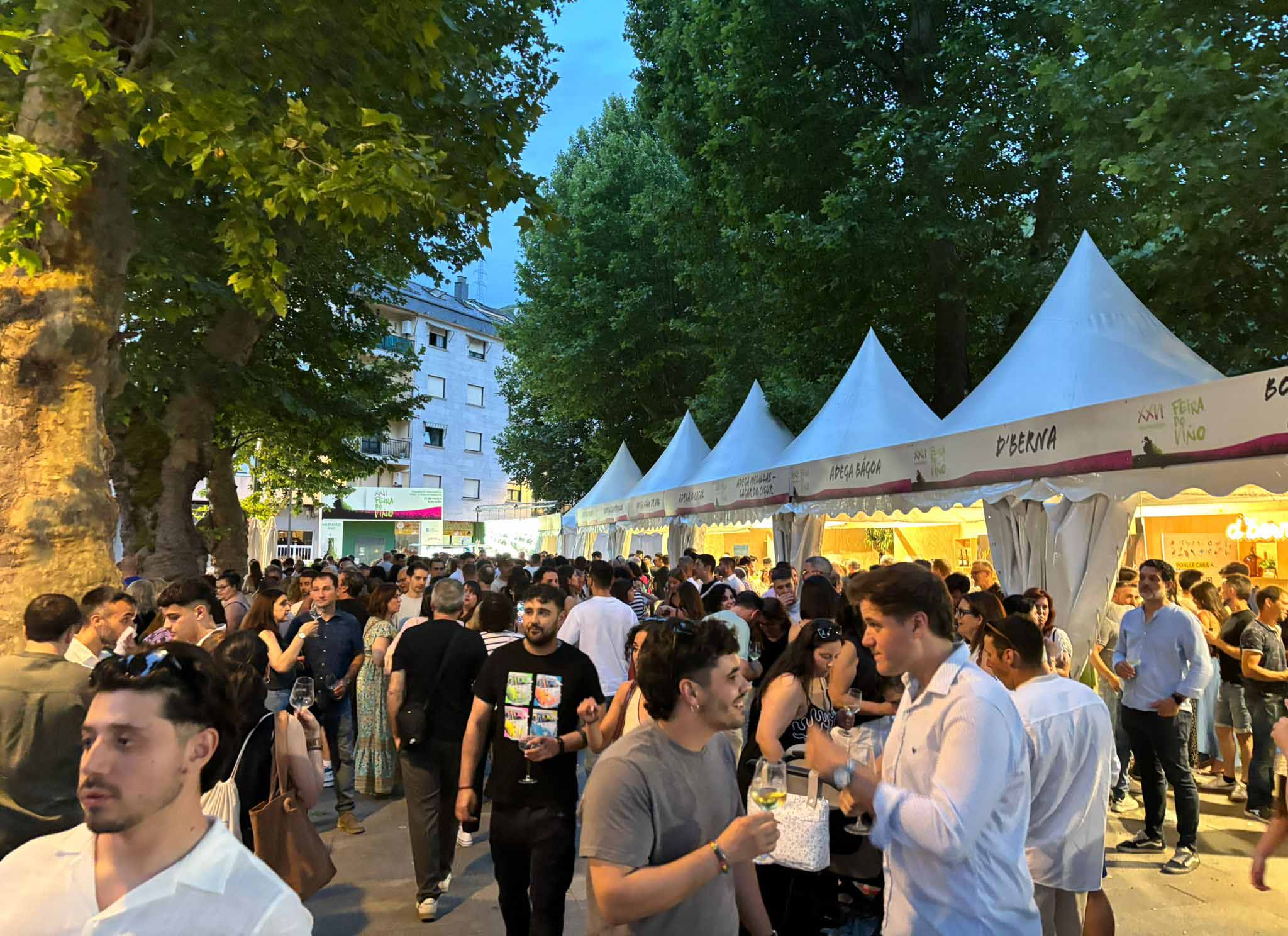 La Feira do Viño de Valdeorras “evoluciona para crecer”