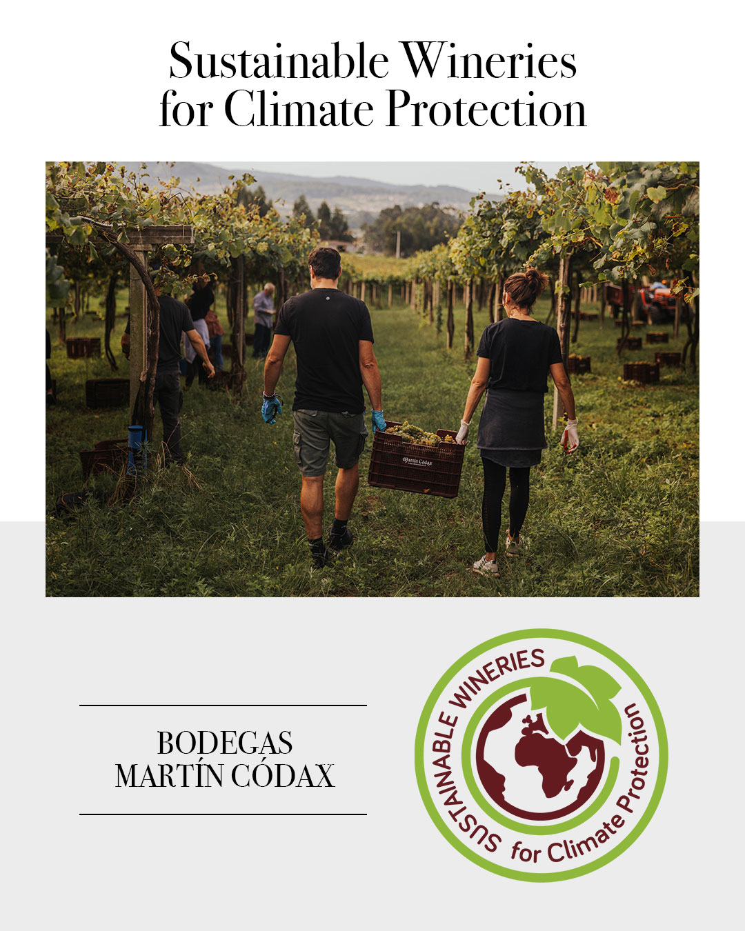 Bodegas Martín Códax avanza en materia de sostenibilidad revalidando el sello ‘Sustainable Wineries for Climate Protection’