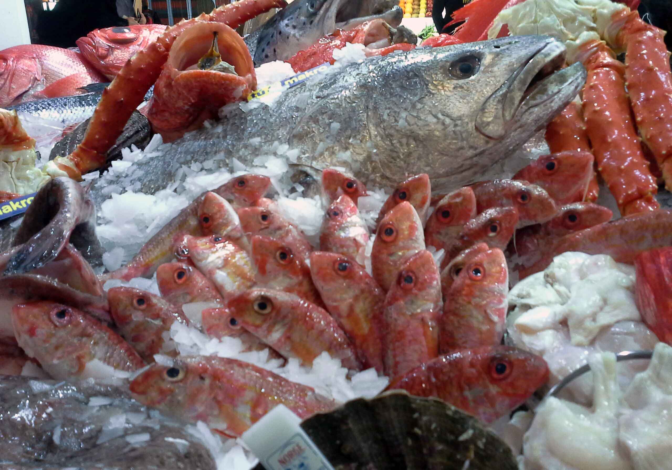 ‘Pesca Saúde’ incide en los beneficios del consumo de productos del mar 