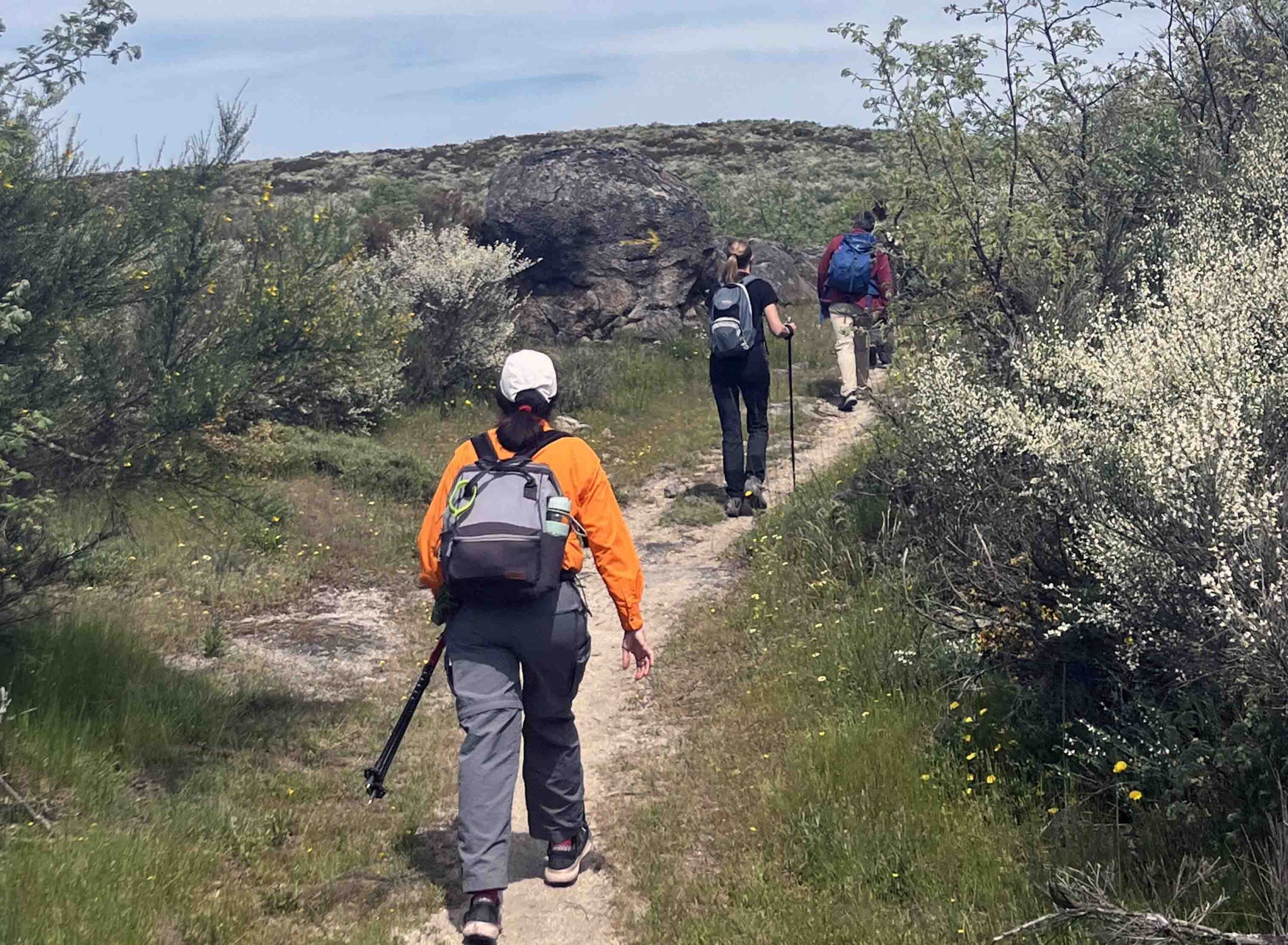 La Deputación de Ourense impulsa un ciclo de caminatas por la Vía de la Plata