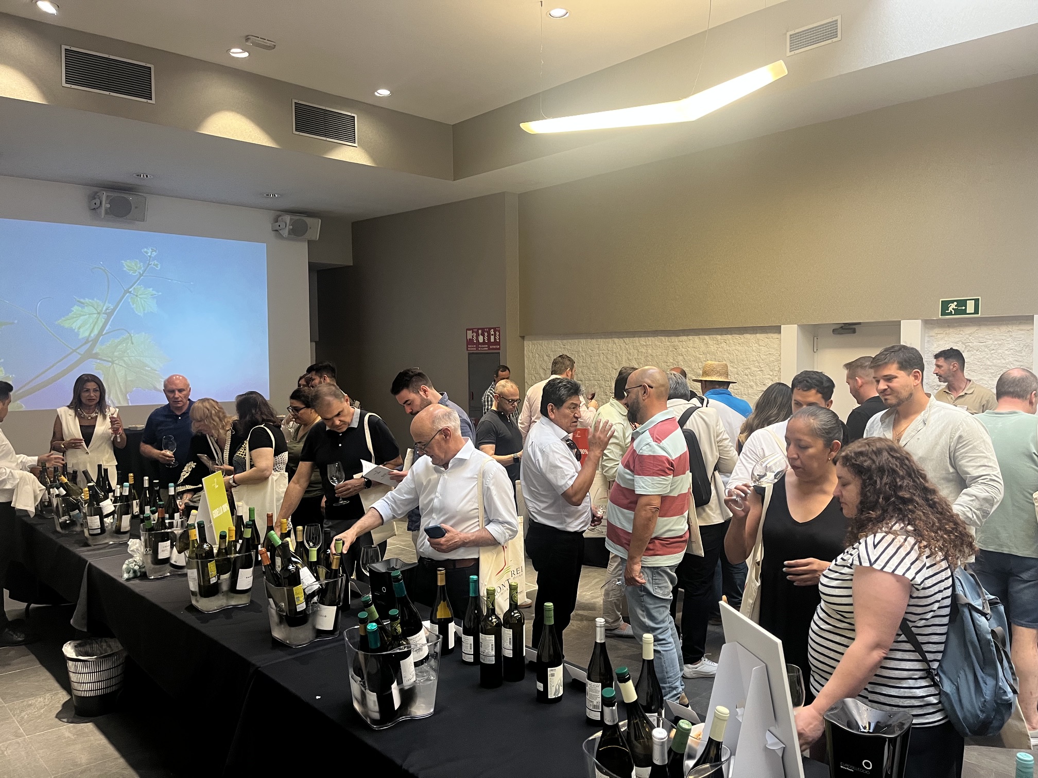 Madrid disfruta con los vinos de la D.O. Monterrei  